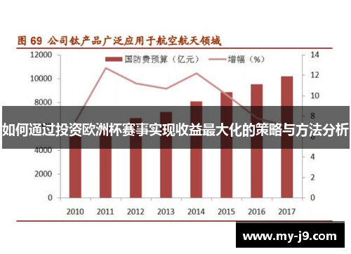 如何通过投资欧洲杯赛事实现收益最大化的策略与方法分析