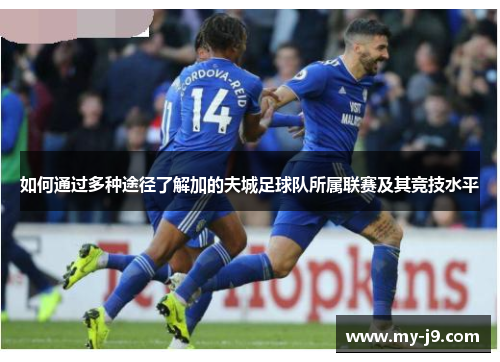 如何通过多种途径了解加的夫城足球队所属联赛及其竞技水平 如何通过多种途径了解加的夫城足球队所属联赛及其竞技水平