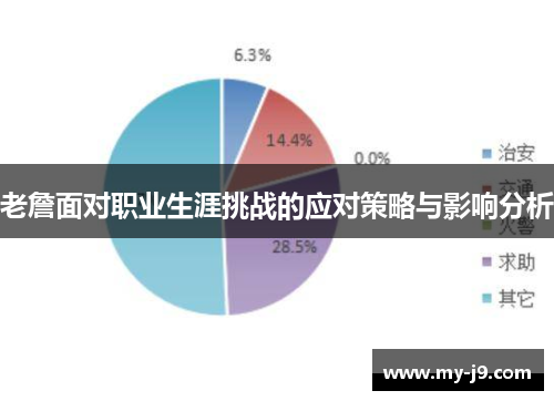 老詹面对职业生涯挑战的应对策略与影响分析
