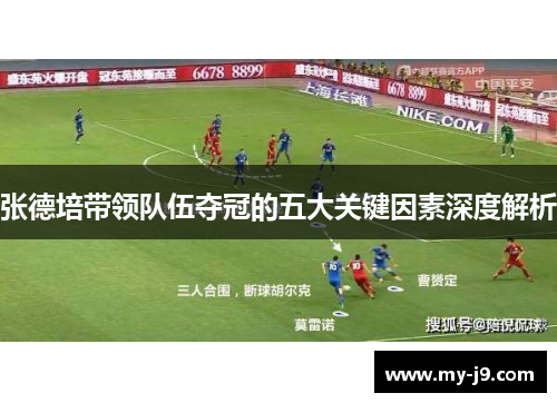 张德培带领队伍夺冠的五大关键因素深度解析