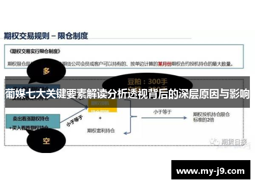 葡媒七大关键要素解读分析透视背后的深层原因与影响