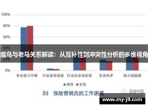 魔鸟与老马关系解读：从互补性到冲突性分析的多维视角