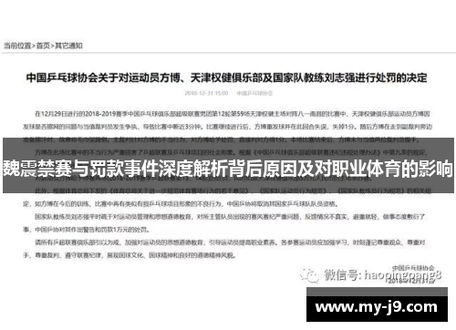 魏震禁赛与罚款事件深度解析背后原因及对职业体育的影响